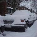 Snow 2010